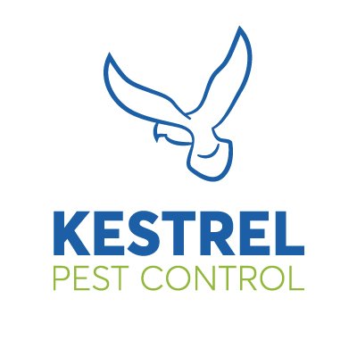 Kestrel profile pic