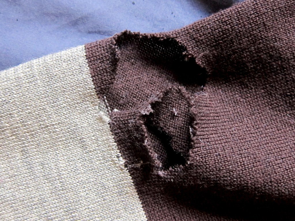 How To Stop Moths From Eating Wool Sweaters at Anne Mojica blog