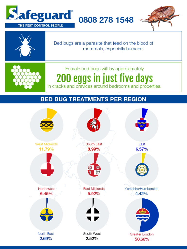 Safeguard infographic BED BUGS x