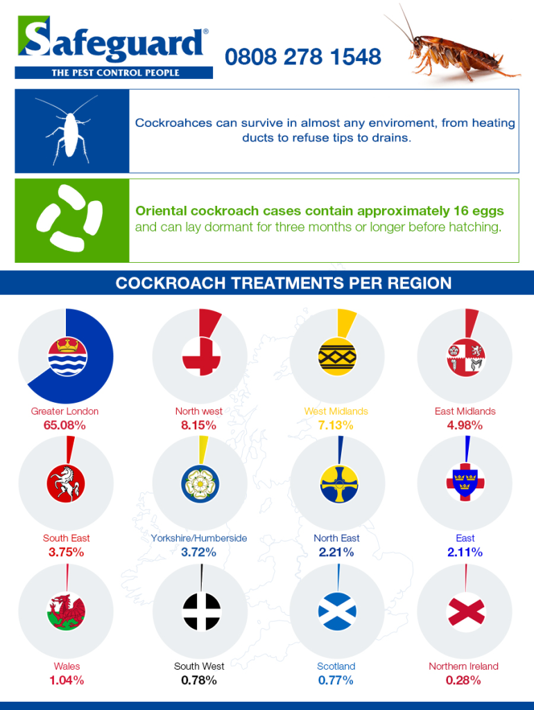 Safeguard infographic COCKROACHES x