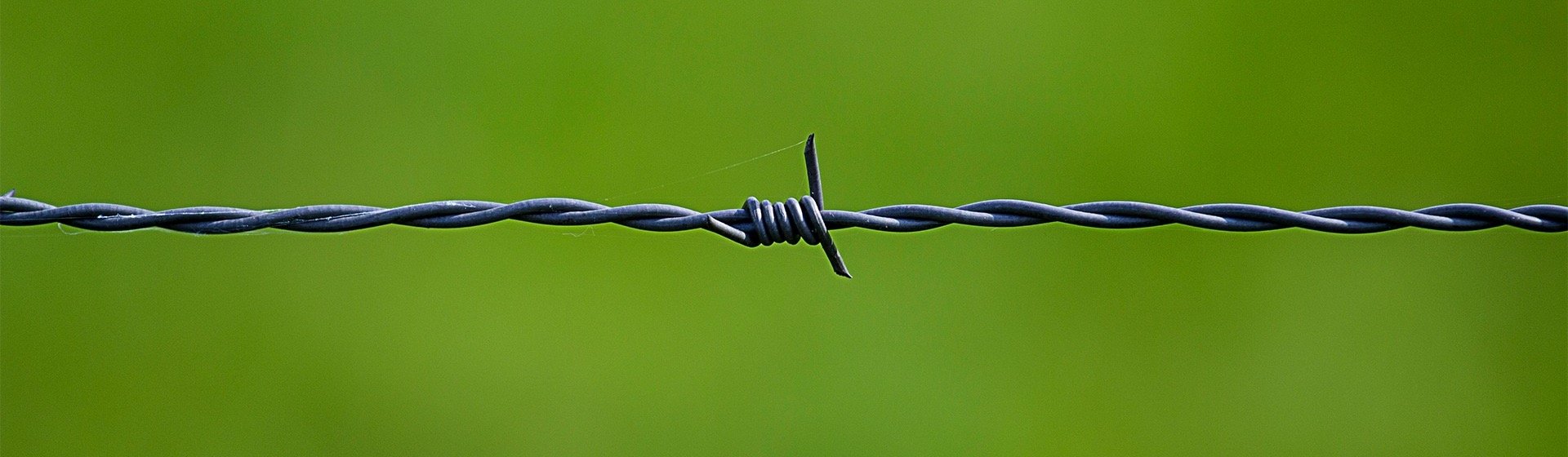 Do bird wire controls work effectively?